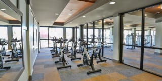 Olympus Steelyard Gallery 34