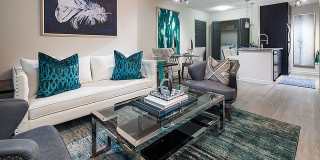 Rosemont Chamblee Gallery 17