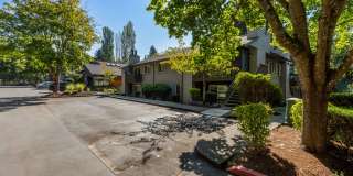 Scout apartments Gallery 43