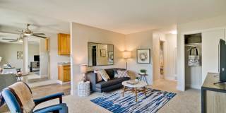 Junction Flats Gallery 11