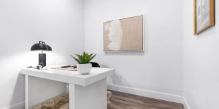 1155 Barton Springs Gallery 15