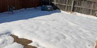 This charming single story 3 bedroom, 2 bath home with the convenience and an unbeatable location. Gallery 19