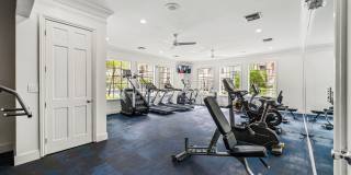 Windsor Coral Springs Gallery 21