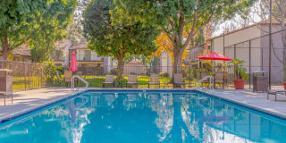 Citrus Grove Apartments Gallery 2