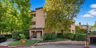 39149 Guardino Dr Apt 247 Gallery 1