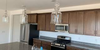 29437 N 113th Lane Gallery 17