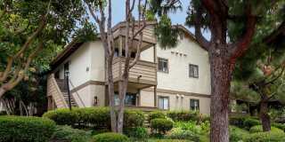 Elán Quail Pointe Apartment Homes Elán Quail Pointe Apartment Homes Gallery 16