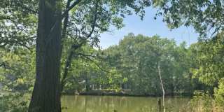 2126 Kimball Circle Gallery 32