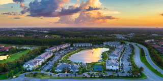 Town Treeline Gallery 30