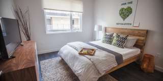 Aquatic Higby Gallery 10