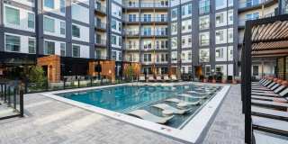 NOVEL Scotts Addition Gallery 2