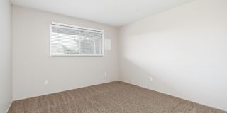 The Maples Gallery 10