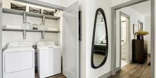 The Anderson Gallery 10