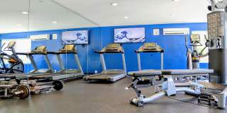 La Jolla Canyon Gallery 21