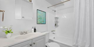 Amazing Renovated Apartments Gallery 7