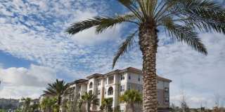 The Views at Harbortown Gallery 16