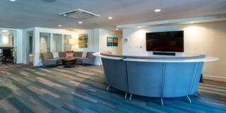 Alcyone Gallery 64