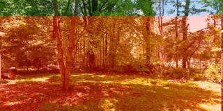 1480 Edinburgh Drive Gallery 5