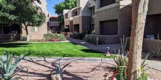 4554 E PARADISE VILLAGE Parkway N unit: 102 Gallery 1