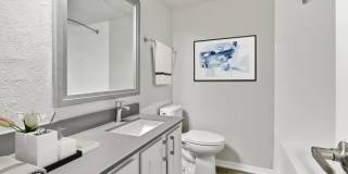 North Star Gallery 20