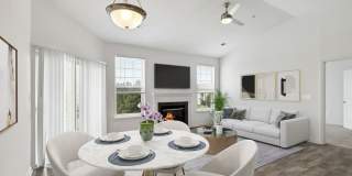 Windsor Commons Gallery 5