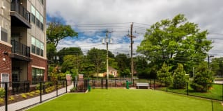 Avalon Maplewood Gallery 29