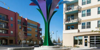Mariposa Apartments - Affordable Housing Gallery 4