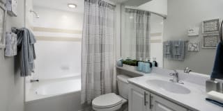 Evergreen Terrace Gallery 14