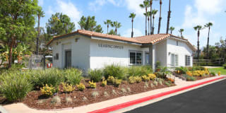 Siena Terrace Gallery 1