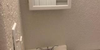 House for Rent - St Petersburg 3 Bedroom 1 Bath w WD Room Gallery 10