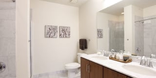 Arrive Lex Gallery 42