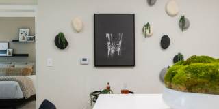 Alta Ivy Gallery 26