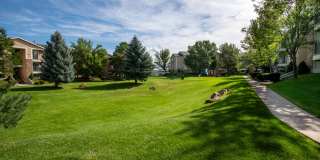 Wing Pointe Gallery 2