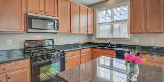 42451 MAGELLAN Square Gallery 15