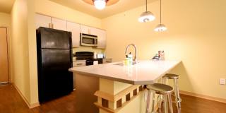 Settlement Place Gallery 289