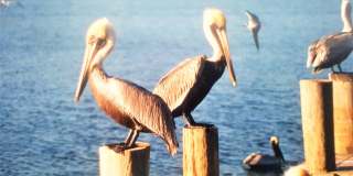 459 SW Paar Drive Gallery 28