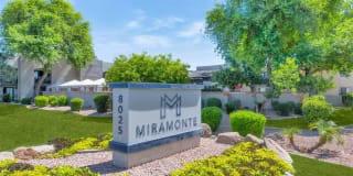 Miramonte Gallery 47