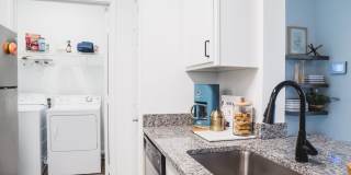 Alister Lake Lynn Gallery 4