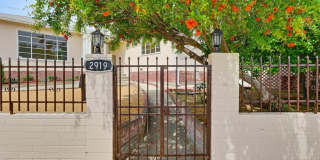 2919 Maxwell St Gallery 3