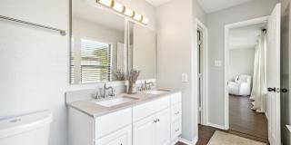 39 Longleaf Coral Gallery 26