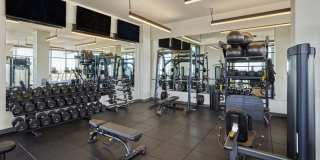 Skye on 6th Gallery 44