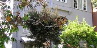 Fully Updated Studio ~Great Location near Campus~ North-Side Berkeley Gallery 1