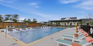 YardHomes Spring West Gallery 32