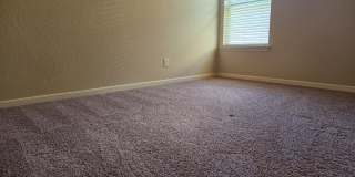 2738 Cinnamon Teal Gallery 15