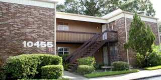 10455 Carrollwood Estates Drive Gallery 1