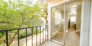Ventana Gallery 11