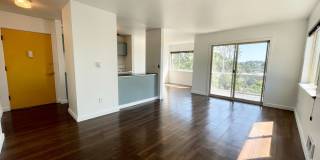 Bayview Apartments Gallery 29
