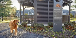 Blue Bell Villas Gallery 9