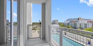 The Mile Coral Gables Gallery 77