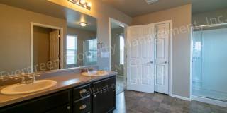 Spacious Home in Timnath Ranch Sub-Div! Gallery 18